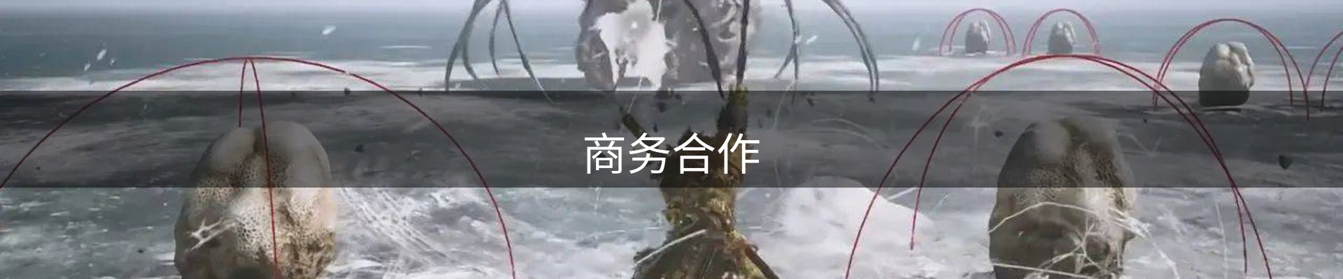 商务合作